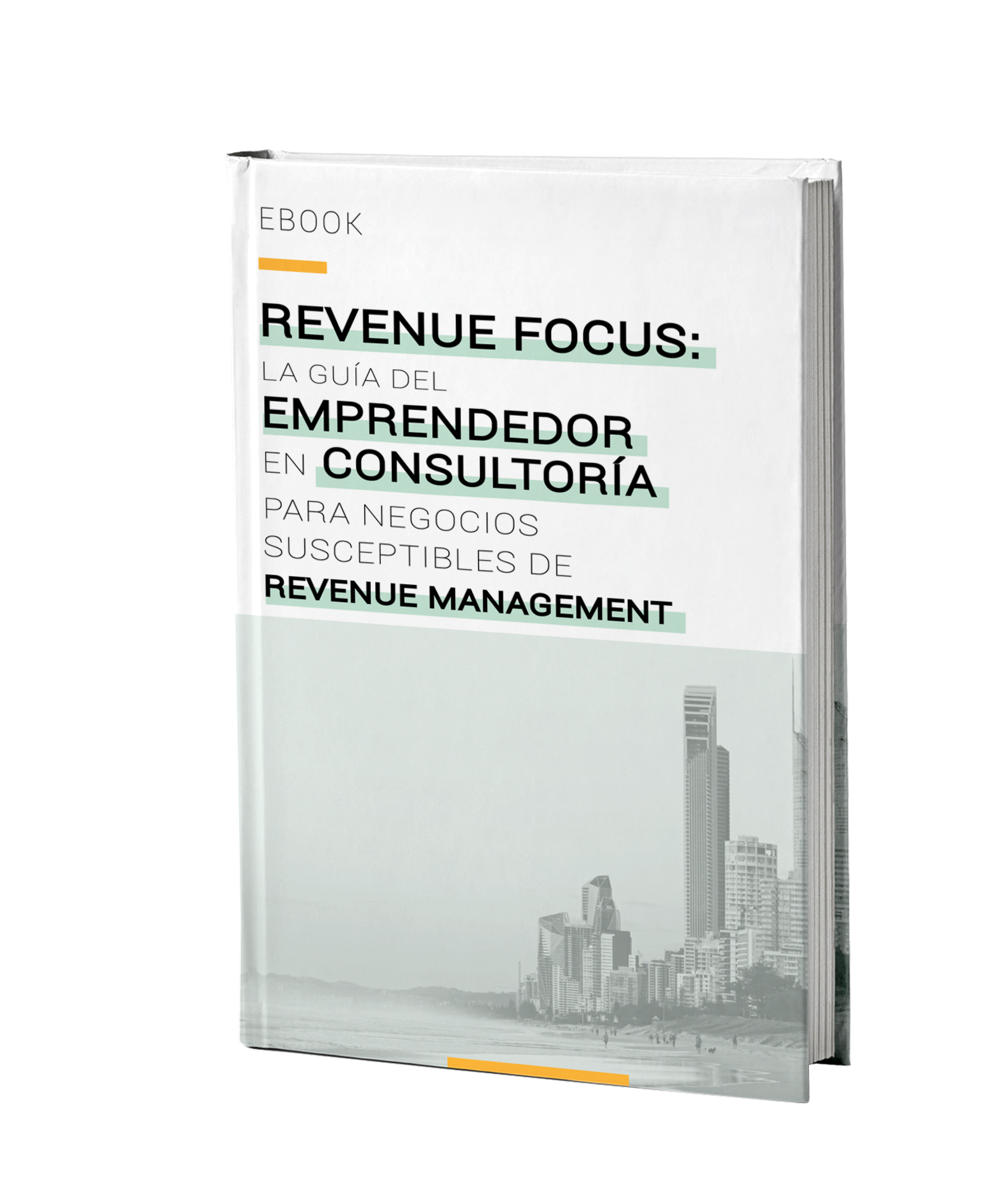 Revenue Focus: La guía del emprendedor en consultoría para negocios susceptibles de Revenue Management